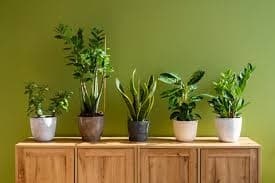 Indoor