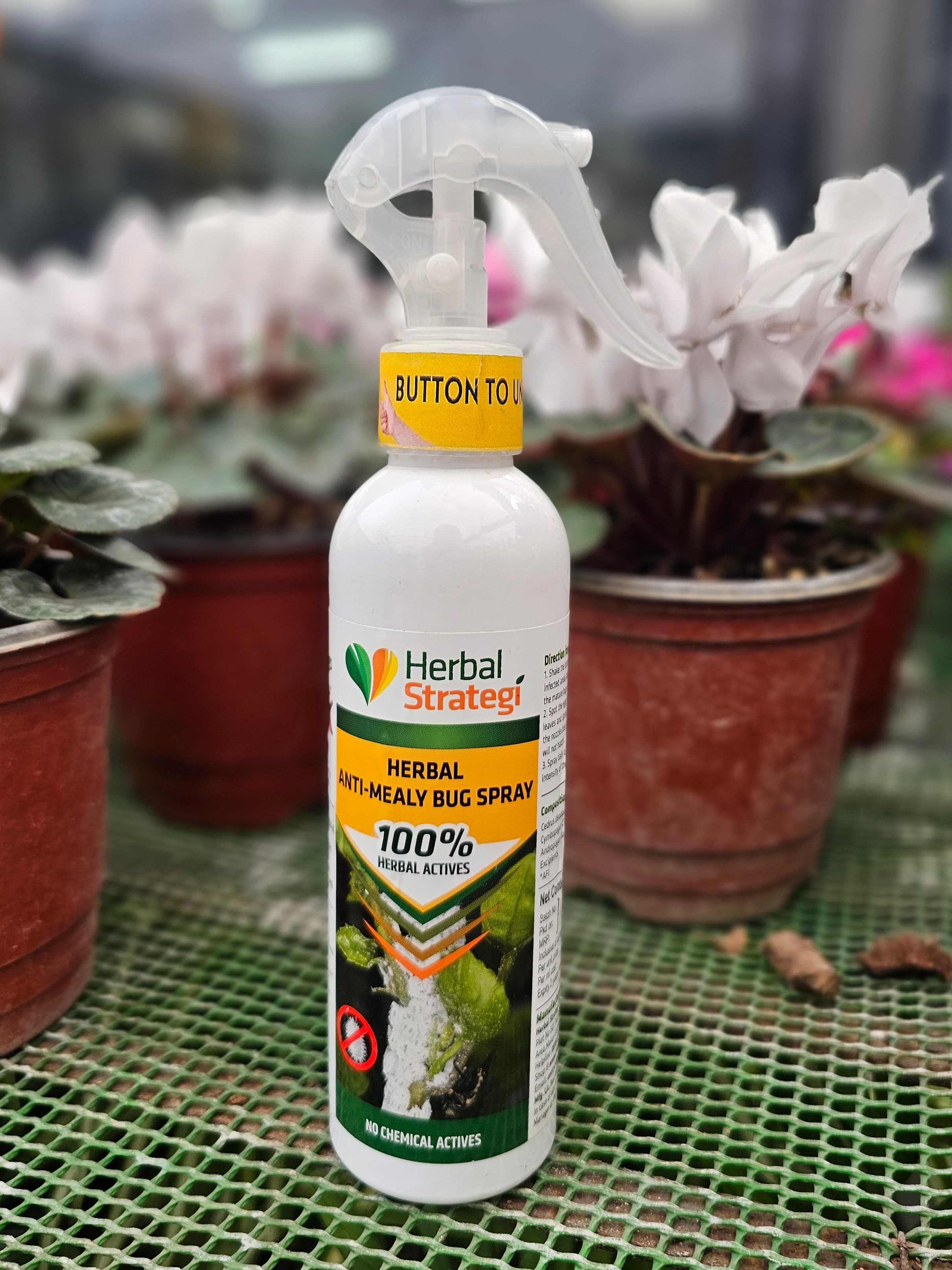 Anti-Mealy Bug Spray