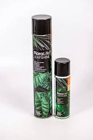 Floralis Leaf Shine